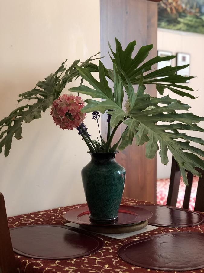 Albany Foreshore Guest House Zewnętrze zdjęcie